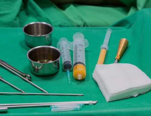 Fat Grafting at Evita Clinic