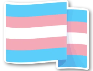 trans-flag-shadow500px trans flag shadow500px